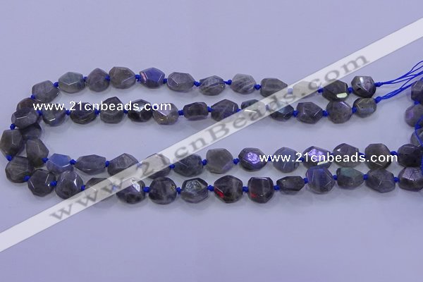 CNG5790 10*12mm - 10*14mm faceted freeform labradorite beads