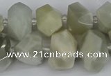 CNG5832 15.5 inches 12*16mm - 15*20mm faceted nuggets moonstone beads