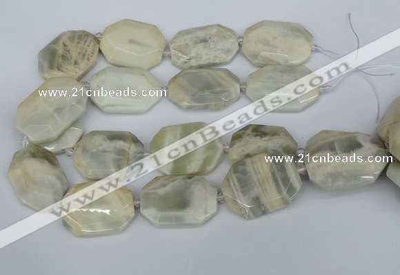 CNG5834 15.5 inches 20*30mm - 35*45mm faceted freeform moonstone beads