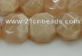 CNG5872 15.5 inches 8*12mm - 12*16mm faceted freeform moonstone beads