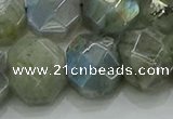 CNG5874 15.5 inches 8*12mm - 12*16mm faceted freeform labradorite beads