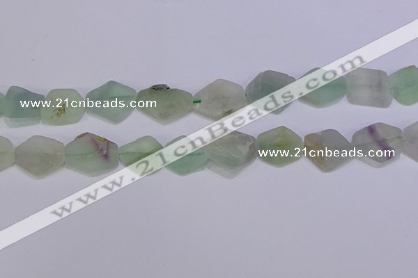 CNG6361 15.5 inches 14*18mm - 16*22mm freeform matte fluorite beads