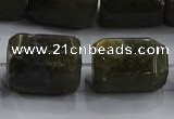 CNG6430 15.5 inches 15*20mm faceted nuggets labradorite beads