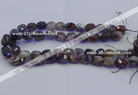 CNG6939 12*16mm - 13*18mm faceted nuggets Botswana agate beads