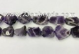 CNG6946 15.5 inches 22*25mm - 25*30mm freeform amethyst beads
