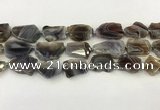 CNG6947 15.5 inches 18*20mm - 22*25mm freeform Botswana agate beads