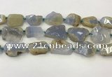 CNG6949 15.5 inches 22*30mm - 30*40mm freeform blue chalcedony beads
