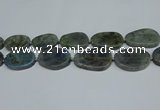 CNG7052 15.5 inches 25*35mm - 30*45mm freeform labradorite beads