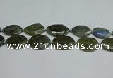 CNG7098 25*35mm - 35*45mm faceted freeform labradorite beads