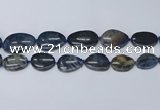 CNG7116 15.5 inches 20*25mm - 30*40mm freeform blue dumortierite beads