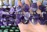 CNG7473 15.5 inches 18*25mm - 20*28mm faceted freeform amethyst beads