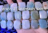 CNG7477 15.5 inches 18*25mm - 20*28mm faceted freeform amazonite beads