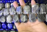 CNG7480 15.5 inches 18*25mm - 20*28mm faceted freeform labradorite beads