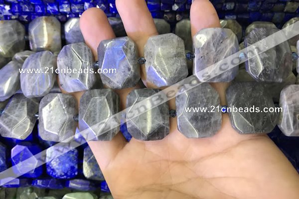 CNG7480 15.5 inches 18*25mm - 20*28mm faceted freeform labradorite beads