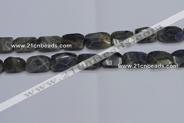 CNG7487 15.5 inches 18*25mm - 20*30mm faceted freeform labradorite beads