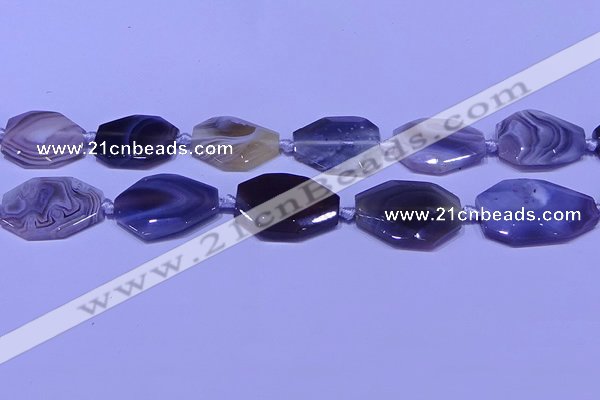 CNG7527 18*25mm - 25*35mm faceted freeform Botswana agate beads