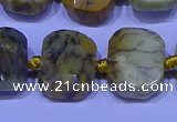 CNG7536 15.5 inches 12*16mm - 15*20mm faceted freeform agate beads