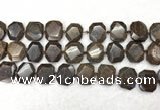 CNG7568 15.5 inches 18*25mm - 20*28mm faceted freeform bronzite beads