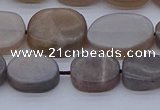 CNG7576 15.5 inches 10*14mm - 13*18mm freeform sunstone beads