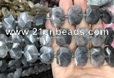 CNG7755 13*18mm - 15*25mm faceted freeform cloudy quartz beads