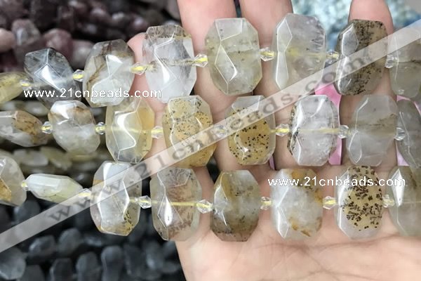 CNG7760 13*18mm - 15*25mm faceted freeform scenic quartz beads