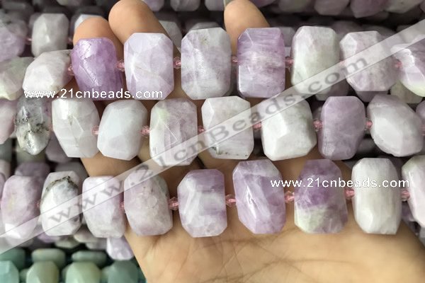 CNG7763 13*18mm - 15*25mm faceted freeform kunzite beads