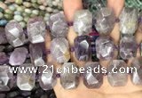 CNG7777 15.5 inches 13*18mm - 15*25mm faceted freeform amethyst beads