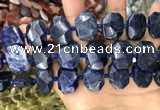 CNG7788 15.5 inches 13*18mm - 15*25mm faceted freeform sodalite beads