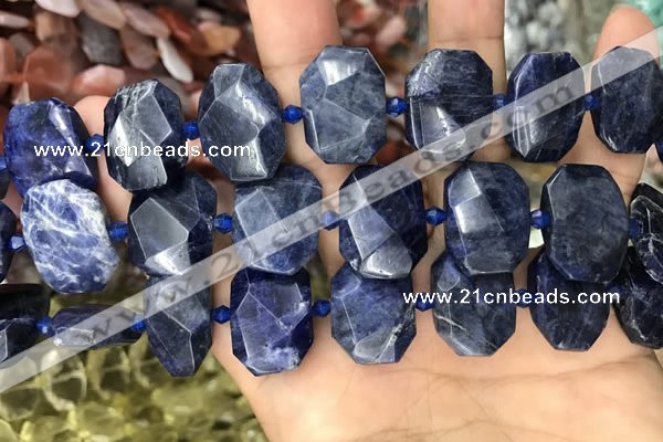 CNG7788 15.5 inches 13*18mm - 15*25mm faceted freeform sodalite beads