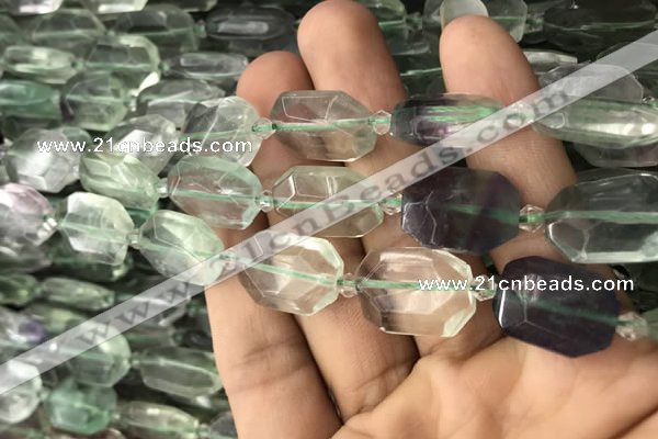 CNG7806 15.5 inches 13*18mm - 18*25mm faceted freeform fluorite beads