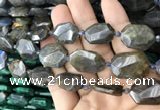 CNG7819 15.5 inches 13*18mm - 18*25mm faceted freeform labradorite beads