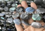 CNG7820 15.5 inches 13*18mm - 18*25mm faceted freeform labradorite beads