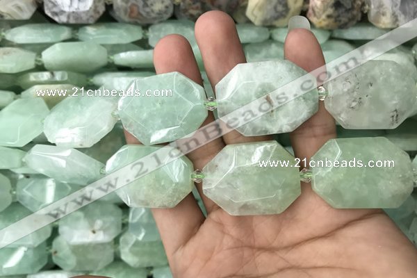 CNG7831 20*28mm - 25*35mm faceted freeform light prehnite beads