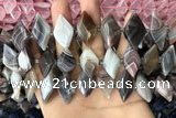 CNG7877 13*20mm - 15*25mm faceted freeform Botswana agate beads