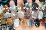CNG7879 13*18mm - 15*25mm faceted freeform Botswana agate beads