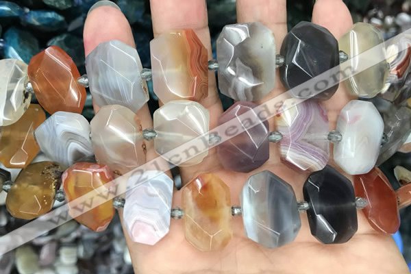 CNG7879 13*18mm - 15*25mm faceted freeform Botswana agate beads