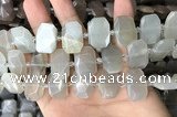 CNG7880 13*18mm - 15*25mm faceted freeform moonstone beads