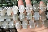 CNG7881 13*18mm - 15*25mm faceted freeform moonstone beads