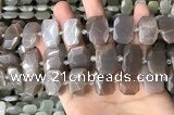 CNG7886 13*18mm - 15*25mm faceted freeform moonstone beads