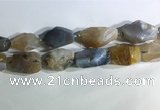 CNG7958 15.5 inches 15*25mm - 20*40mm nuggets agate beads