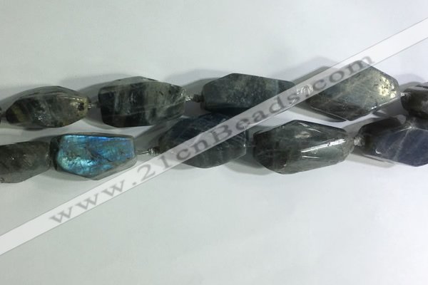 CNG7964 15.5 inches 15*25mm - 20*40mm nuggets labradorite beads