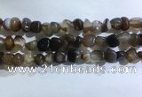 CNG8106 15.5 inches 6*8mm - 10*12mm agate gemstone chips beads