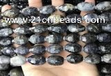 CNG8521 15.5 inches 10*16mm - 11*20mm faceted nuggets iolite beads