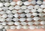 CNG8530 15.5 inches 8*9mm - 9*11mm faceted nuggets moonstone beads