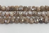 CNG8617 10*13mm - 12*16mm faceted freeform AB-color moonstone beads