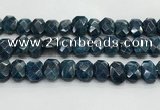 CNG8621 10*13mm - 12*16mm faceted freeform apatite beads