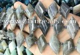 CNG8646 13*20mm - 15*25mm faceted freeform labradorite beads