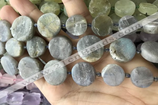 CNG8657 15.5 inches 10mm - 20mm freeform labradorite beads