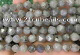 CNG8717 15.5 inches 10mm faceted nuggets labradorite gemstone beads