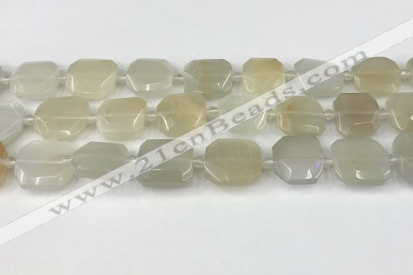 CNG8807 15.5 inches 16mm - 20mm faceted freeform moonstone beads